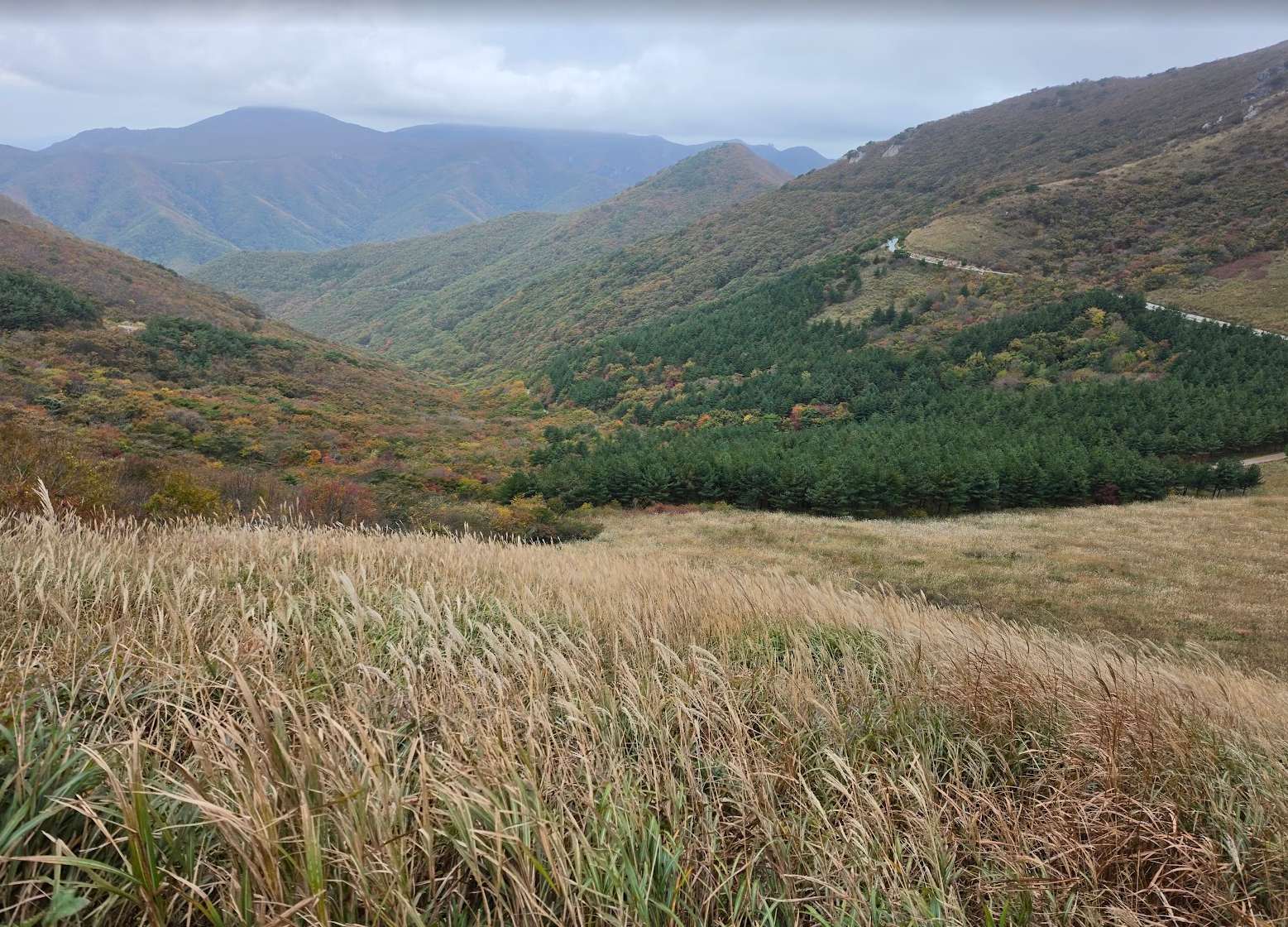 Silver grass covering a mountain plain on the way to Sinbulsan
